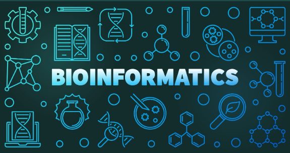 Bioinformatics Analysis