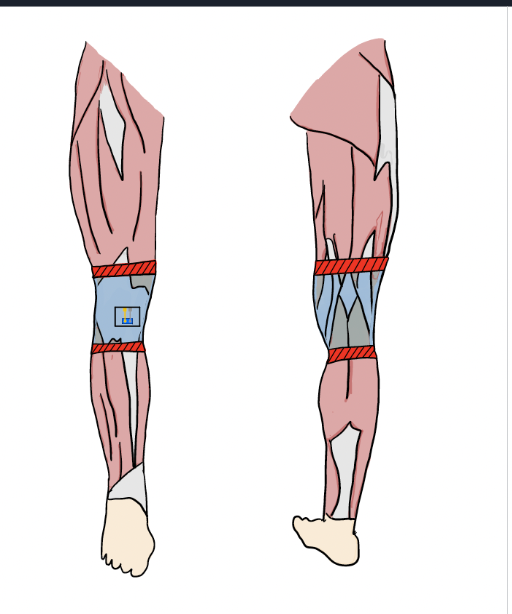 Knee Biomechanics Research