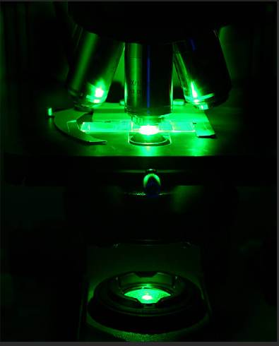 Cellular Bioengineering Lab